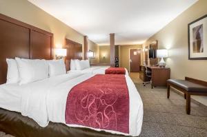 Comfort Suites Billings, Billings
