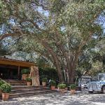 Hotels near Malibu Winery - Calamigos Guest Ranch and Beach Club