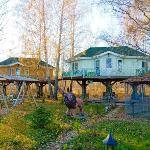 House on the Tree Petrovo