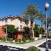 Desert Mountain Hotels - Sonesta Simply Suites Phoenix Scottsdale