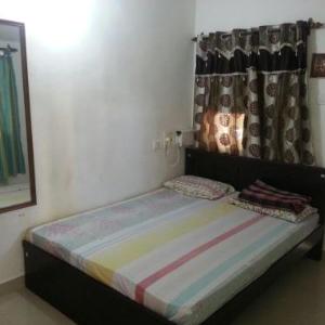 Sodex Apartment