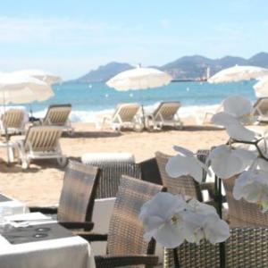 Elegant Apart in City Centre of Cannes