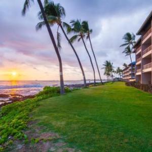 Kona Reef Hawaii by Raintree