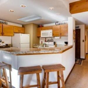 2 Br- Amazing View Of Mt Crested Butte Condo