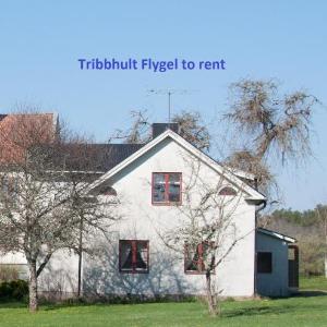 Tribbhult