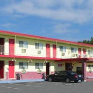Rome Hotels Deals At The 1 Hotel In Ny Red Carpet Inn Rome