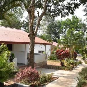 Young Island Coorg