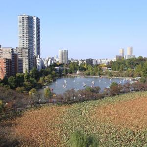 Centurion Ladies Hostel Ueno Park (Female Only)