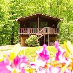 Guest accommodation in Bryson City North Carolina