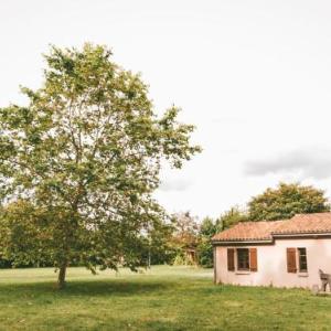 Modern holiday home with dishwasher in natural region