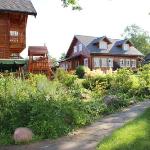 Guest accommodation in Petrikovo 