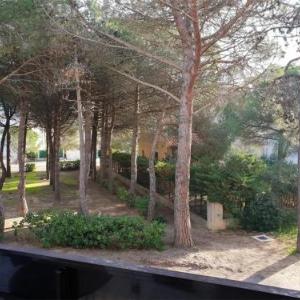 Appartement T2 à 50m de la plage avec balcon et parking – Argelès-sur-Mer - FR-1-388-43