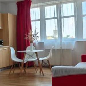 Flowers Apartments Timisoara