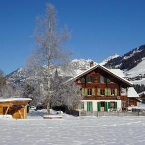 Apartment Lischenhaus - Strubel