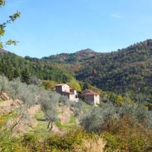 Locazione Turistica Quercia