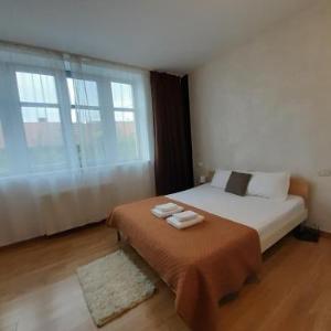 Classic Apartment Timisoara