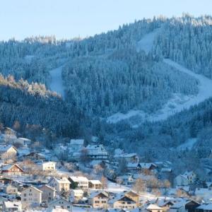 Apartment with one bedroom in Gerardmer with wonderful city view furnished balcony and WiFi