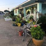 Swell motel