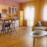 Apartment in Vladikavkaz 