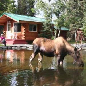 A Cabin by the Pond