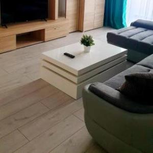 Apartament Central Radu