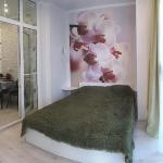 Apartament on Pochtovoy 4 Svetlogorsk