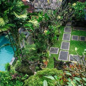 Rumah Roda Guest House & Homestay