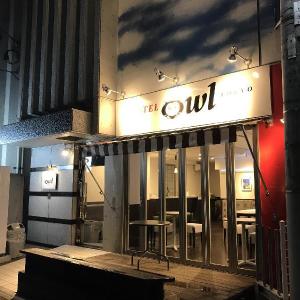 HOTEL OWL