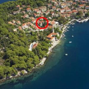 Apartments and rooms by the sea Cavtat Dubrovnik - 8974