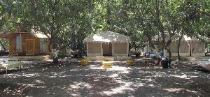 The Brook Ville, Junagadh