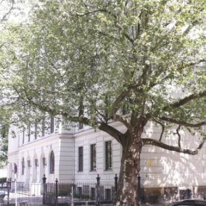 Silentio Schletterstrasse