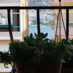 DOWN TOWN LUXURY Apartment
