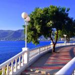 Guest House Vishnevyi Sad Gelendzhik