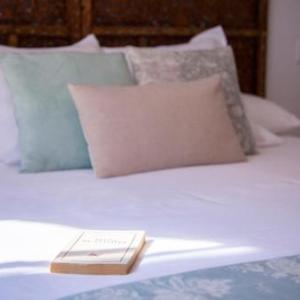 Suites del Arenal Olehousing