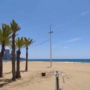 Apartment Palmeras Playa Levante First Line