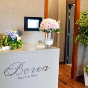 Borea Luxury B&B