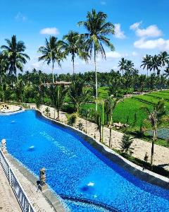 Grand Harvest Resort & Villas, Banyuwangi