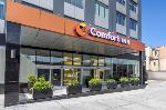 Conservation And Sculpture Co New York Hotels - Comfort Inn Prospect Park-Brooklyn