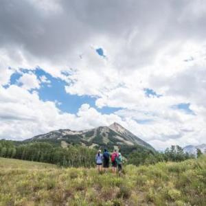 Axtel 1 Br Loft AX410