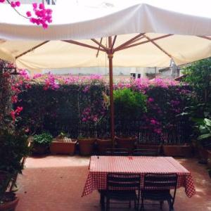 The Terrace