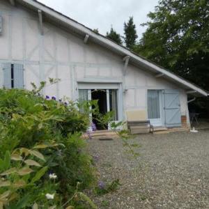 Gîte Poyanne 4 pièces 6 personnes - FR-1-360-352