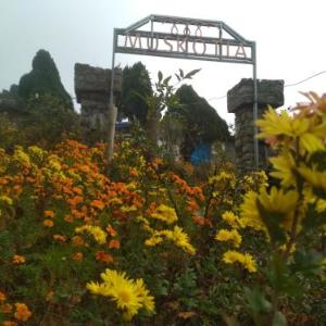MUSKOTIA Independent Cottages
