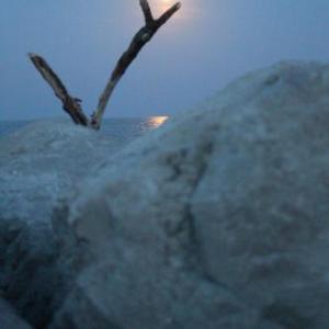 Aparthotel Gioia