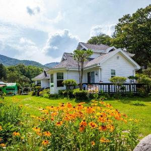 Pyeongchang Gun Hotels With A Shuttle Service Deals At The - 