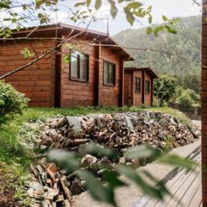 Bear and Berry Eco-Hotel