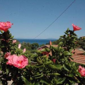 Apartments in Capoliveri - Insel Elba 23660