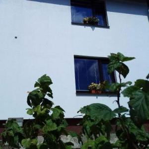 Holiday home in Pernink - Erzgebirge 34318
