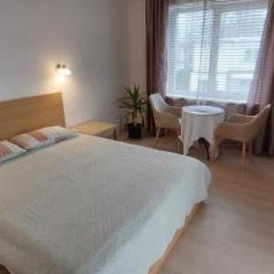 Apartamentai šalia baseino