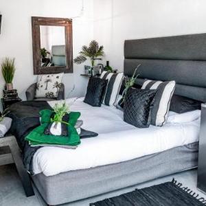 Villa Palmera