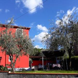 B&B Borgo Marciano